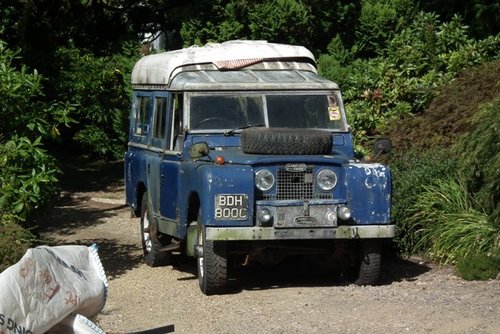 DSCF1871.jpg